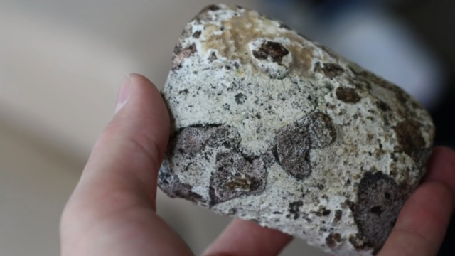 一磅就7000美元,抹香鲸"粪便"怎么那么贵?一分钟解开多年疑惑