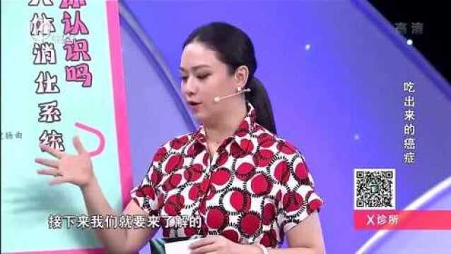 肝竟然也属于消化系统?作用不容小觑,一定要知道