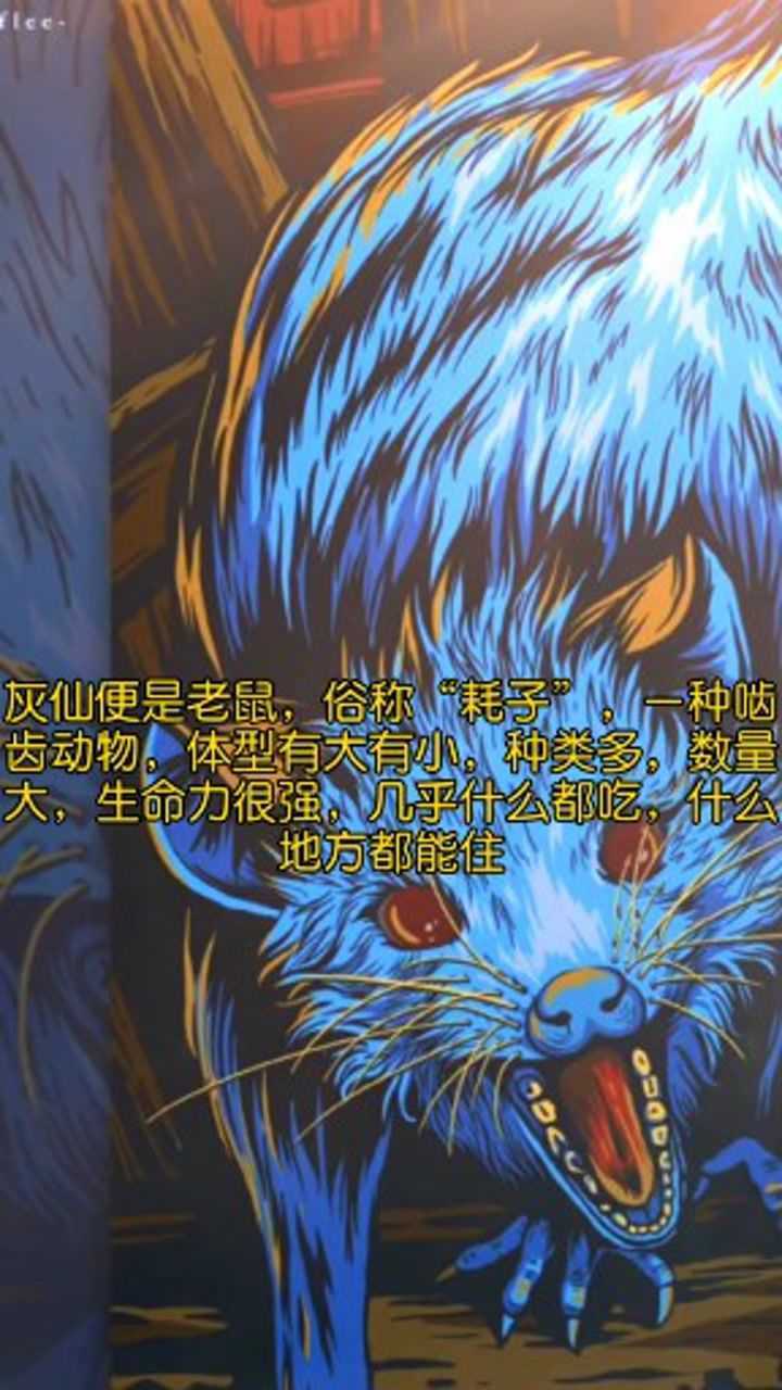 东北五大仙灰仙