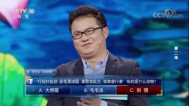 古人如何形容刺猬,王立群带你解读古人世界里的刺猬