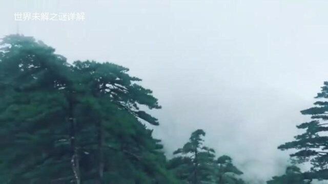 实拍黄山景色,足不出户看美景