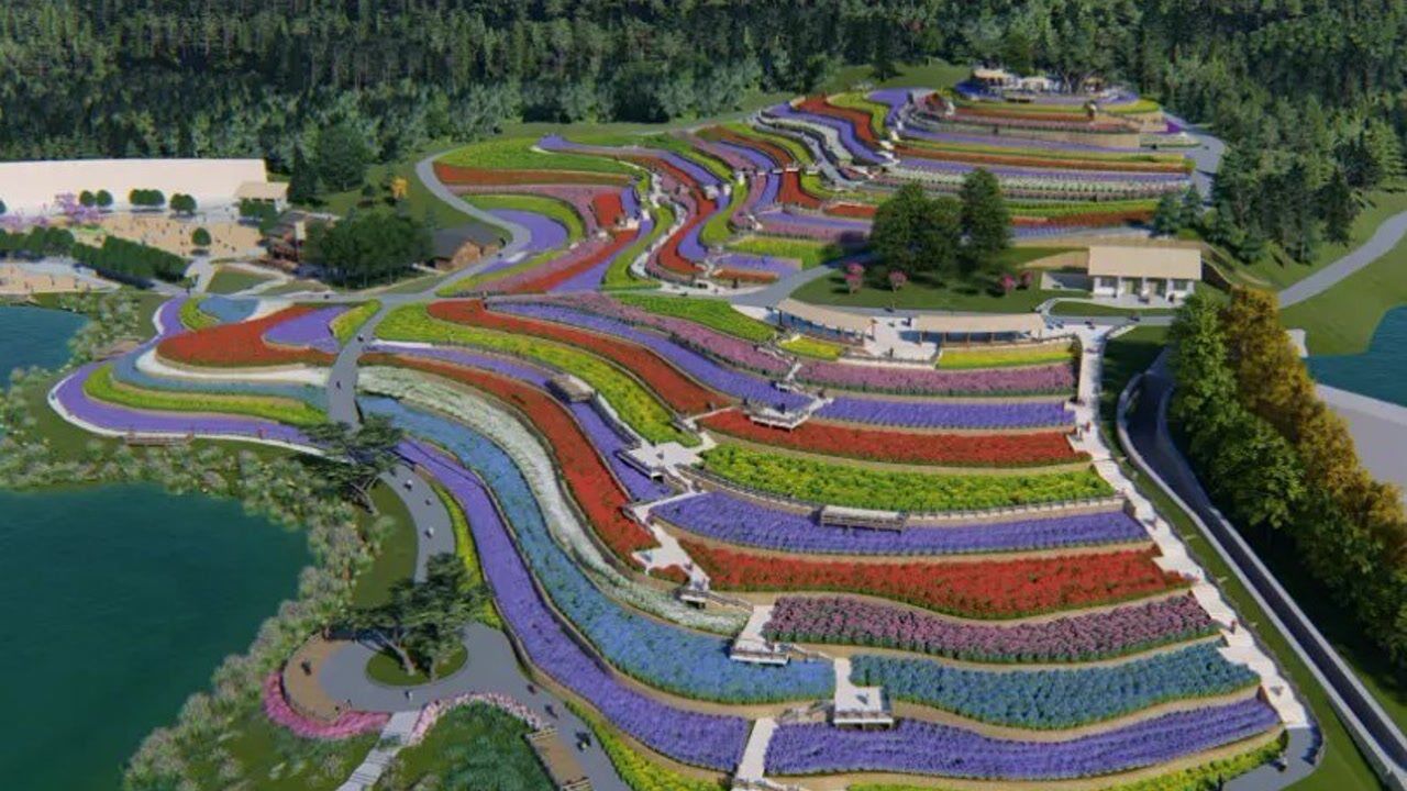 美!璧山古道湾公园梯田花海_腾讯视频