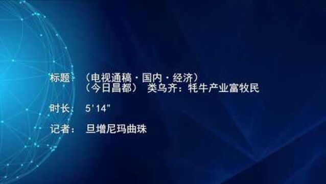 (电视通稿ⷥ›𝥆…ⷧ𛏦𕎩(今日昌都)类乌齐:牦牛产业富牧民