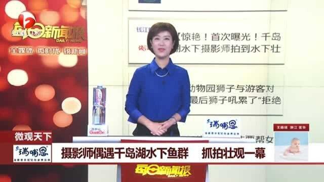 惊艳! 首次曝光 千岛湖水下摄影师拍到壮观包头鱼群