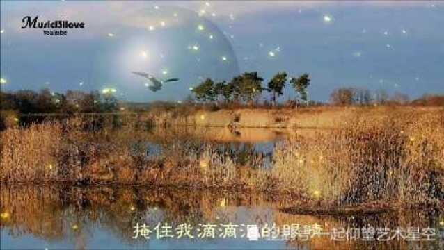 降央卓玛《多情总为无情伤》,配图音乐欣赏