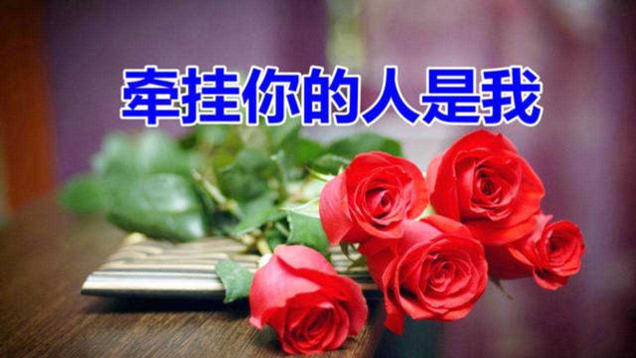 亲爱的,想你了!一首《牵挂你的人是我》送给你