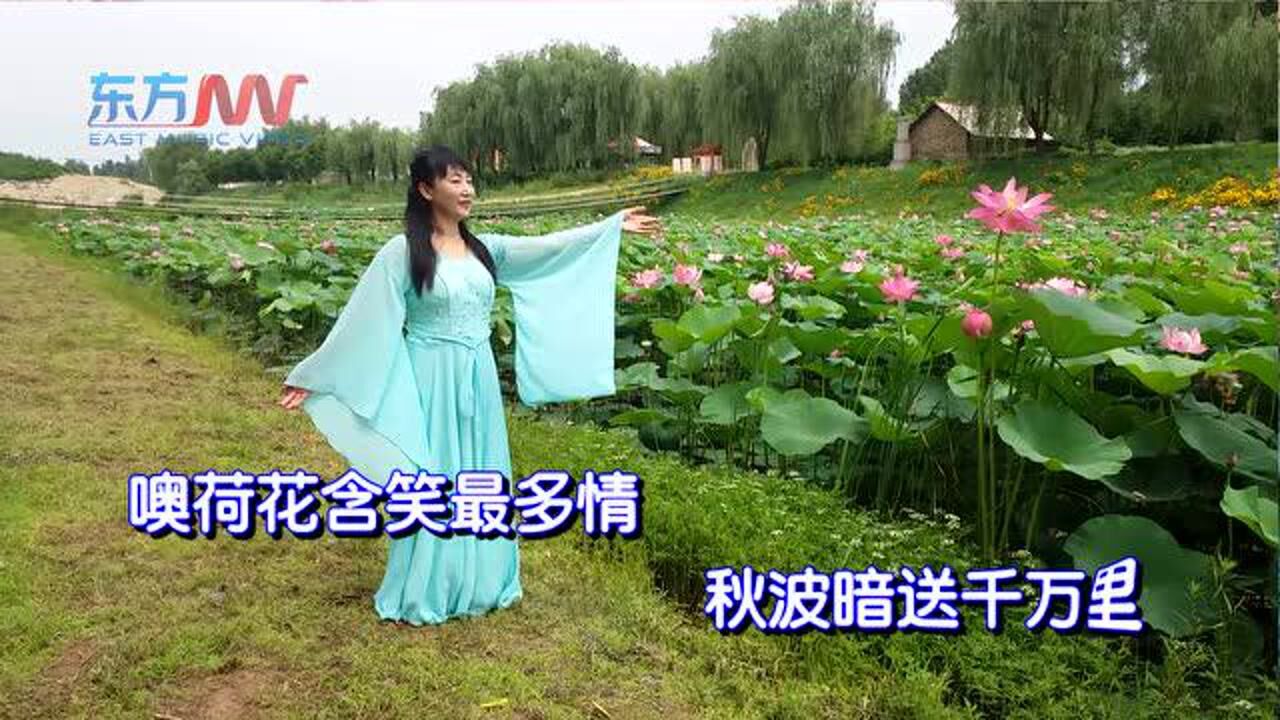 荷花情(李红演唱ktv字幕版2)