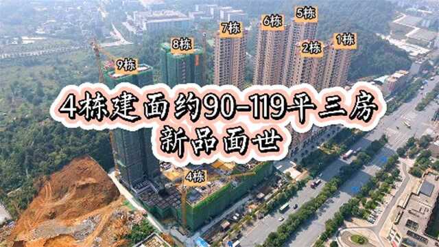 荣裕ⷮŠ美丽缘2020年10月工程进度