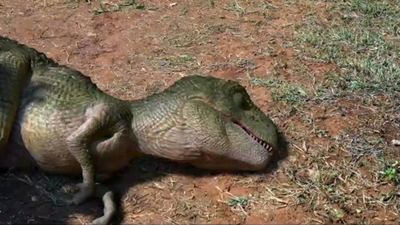 恐龙王小疙瘩_腾讯视频