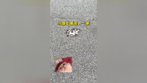 呜呜呜!_高清1080P在线观看平台_腾讯视频