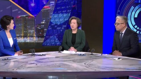 王微:有效市场与有为政府实现有机结合_高清1080P在线观看平台_腾讯视频