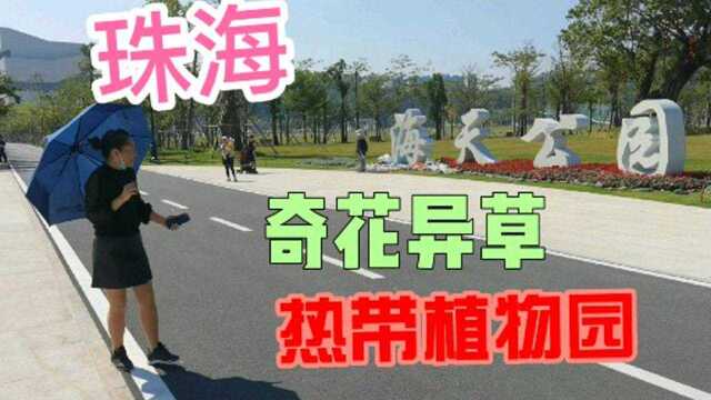 珠海市海天公园,依山面海,景色宜人,奇花异草,热带温室植物园