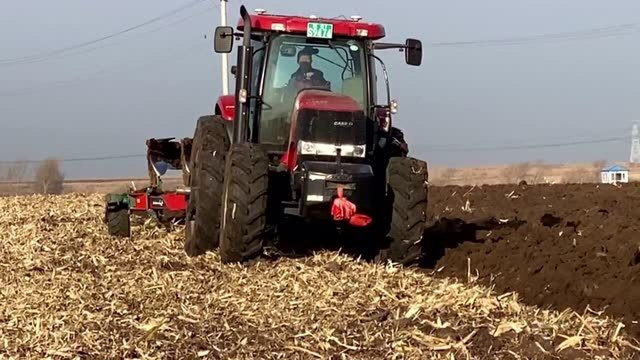 实拍凯斯2304拖拉机的抢冻茬翻地作业