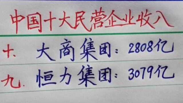 中国十大民营企业收入排行榜