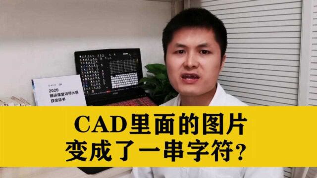 把图片插入CAD之后,再次打开CAD图纸,图片却显示成了一串字符?