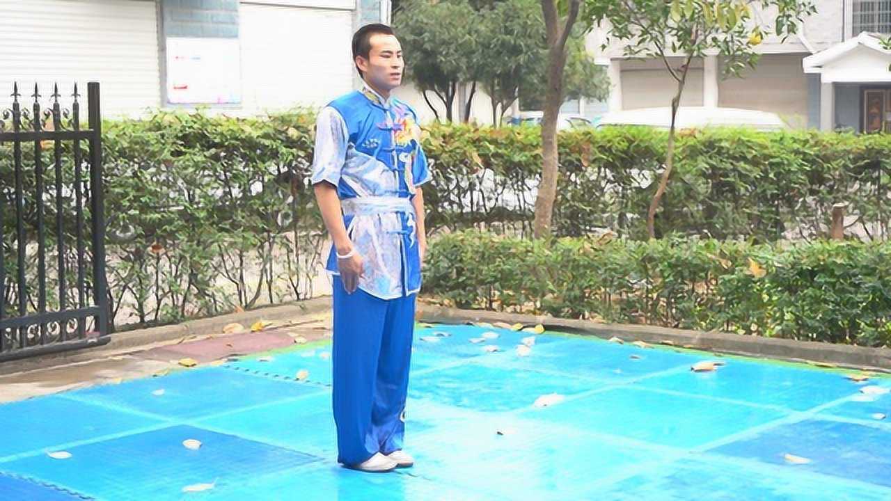 中华龙拳实战拳法(高清)