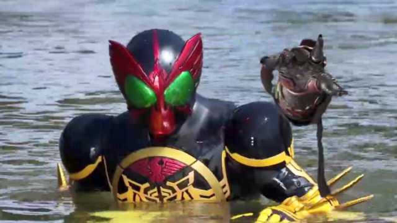 假面骑士ooo2大怪人干部同时登场ooo被迫使用猫系联组