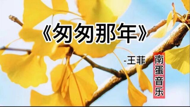 王菲经典歌曲《匆匆那年》唱出了多少人的遗憾,这才是真正原唱的实力!