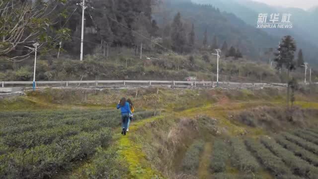 江萨娅的秀山电商之旅