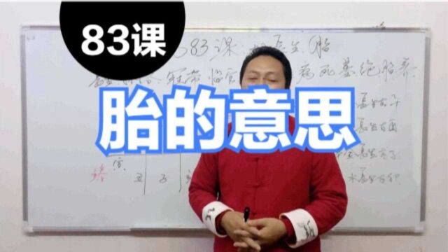 十二长生胎是什么意思,十二长生胎的特点,张洋八字教程第83课