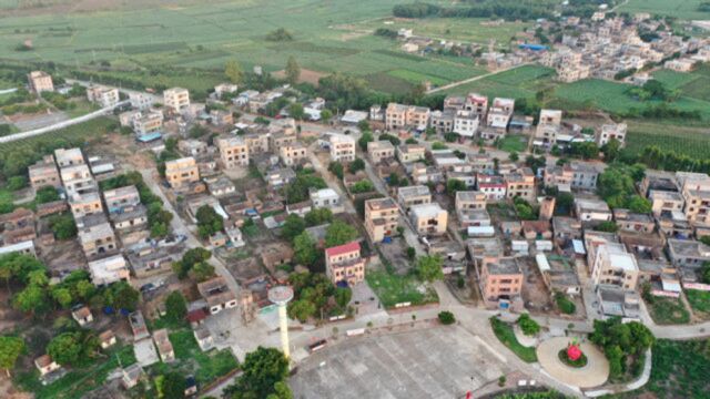 这是我的家乡,湛江市遂溪县杨柑镇布政村,外号火龙果之乡