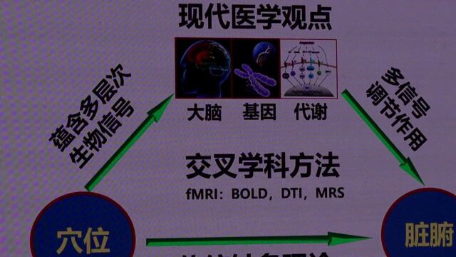 (电视通稿ⷥ›𝥆…ⷥŒ𛥍멥䧥’–云集海口 探讨中医药国际化发展之路