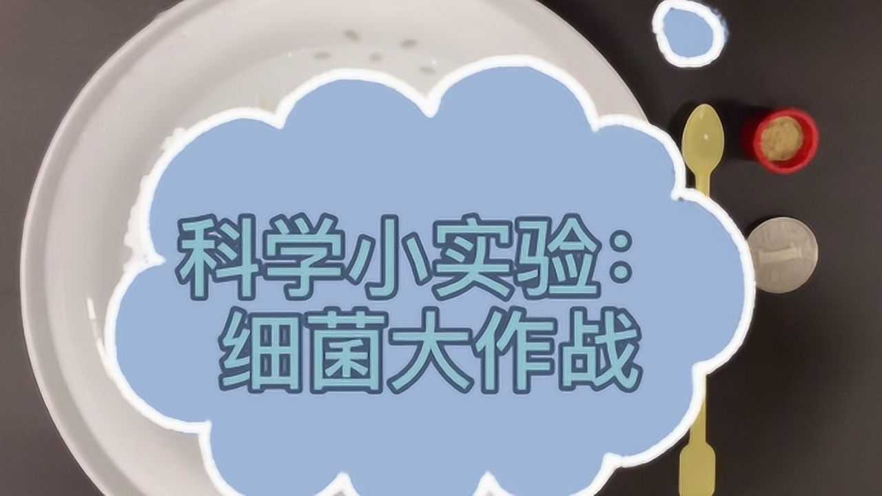 聪贝科学小实验细菌大作战