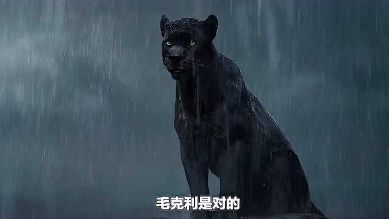 人类被黑豹和狼王养大6岁半就刹了老虎连巨蛇看他都害怕