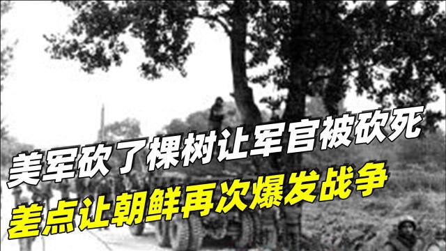 一颗有纪念碑的白杨树!美军砍了一棵树,却让两名军官被斧头砍死