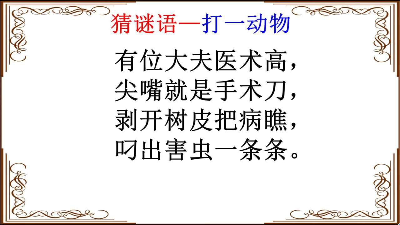猜谜语有位大夫医术高尖嘴就是手术刀打一动物