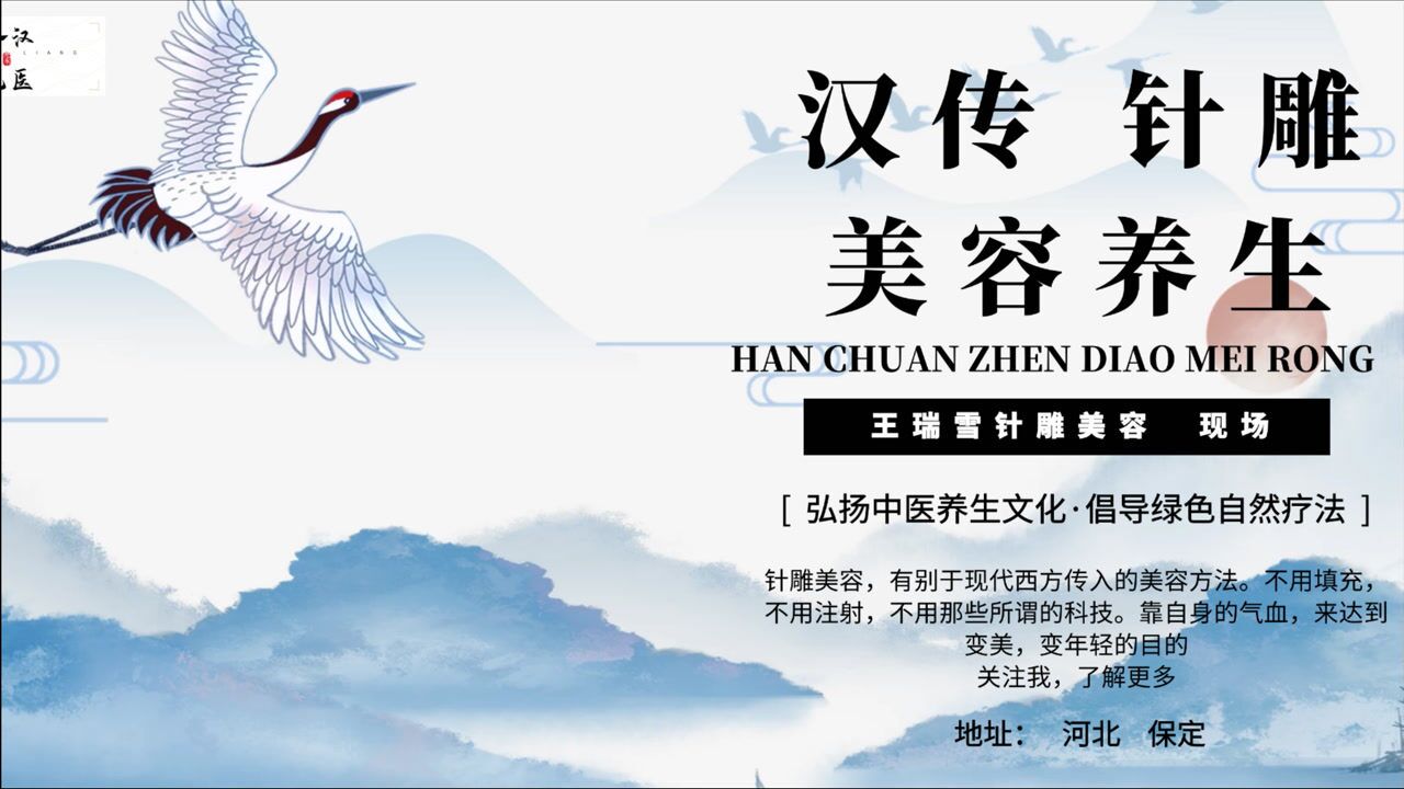 汉传针雕美容王瑞雪课程现场混剪视频2