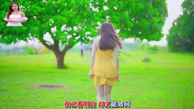 伤感歌曲《假情真爱》,修来的缘分伤了我的心,歌声磁性好听