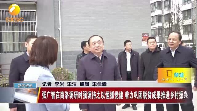 持之以恒抓党建 着力巩固脱贫成果推进乡村振兴