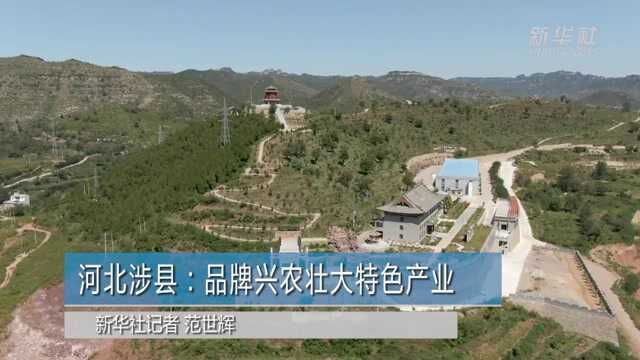 河北涉县:品牌兴农壮大特色产业