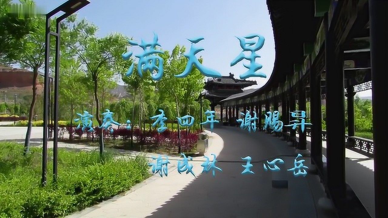 青海乐都民间小调《满天星》器乐演奏