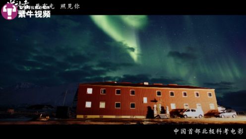 “一夜”度过100多天，孤独的“光语者”在北极追寻光明
