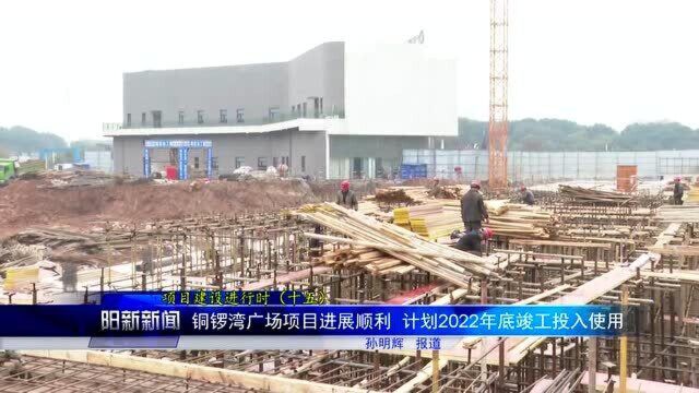 阳新铜锣湾广场项目进展顺利 计划2022年底竣工投入使用