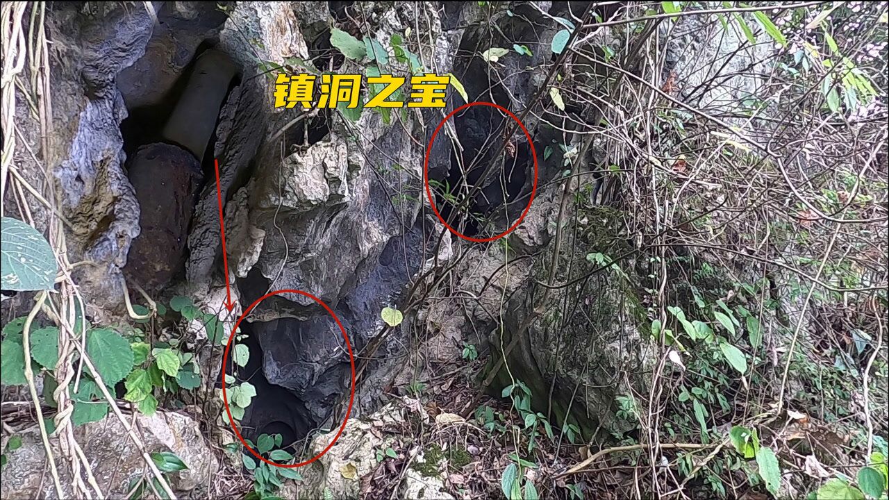 小廖爬山遇见两石洞在一个洞口发现镇洞之宝瞬间不淡定了