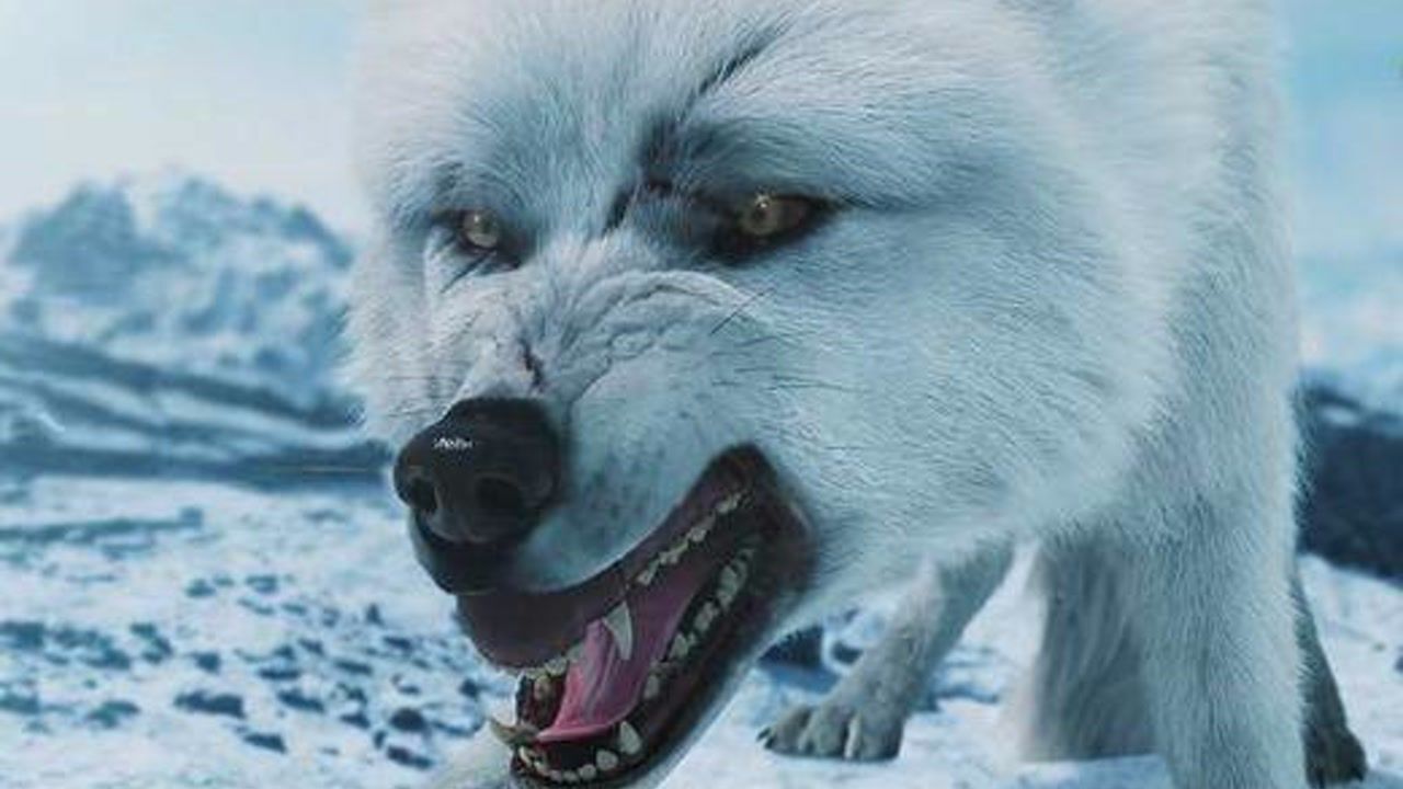 影视夺宝冒险电影昆仑神宫食罪兽白狼王冰瓢虫齐聚