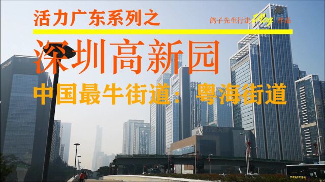 广东深圳市高新园,坐拥上百家上市公司,粤海街道,中国最牛街道