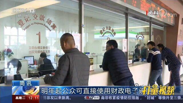 财政部:明年1月1日起,公众可直接使用财政电子票据报销