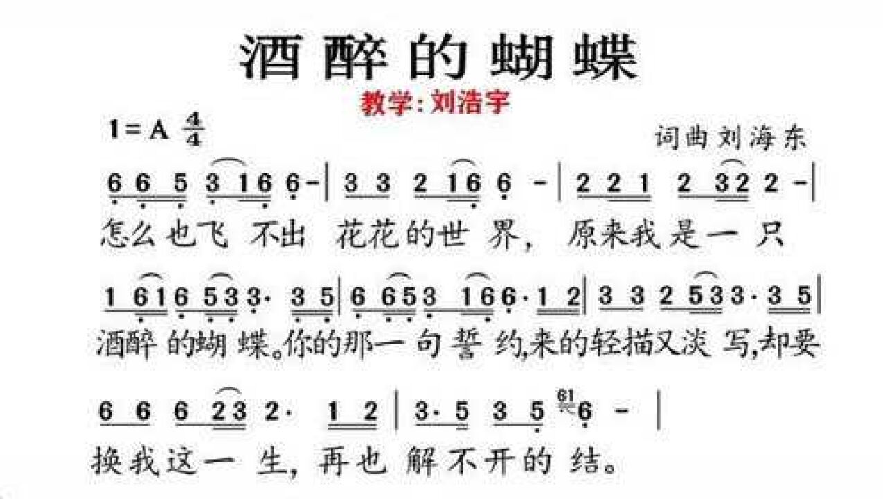 酒醉的蝴蝶完整版大家都会唱了吗会唱的家人跟我一起唱