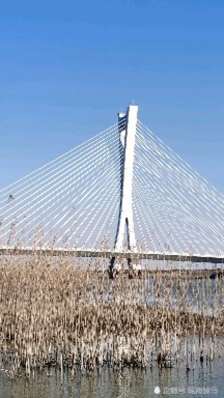 合肥冬日的暖阳下远眺杭埠河大桥