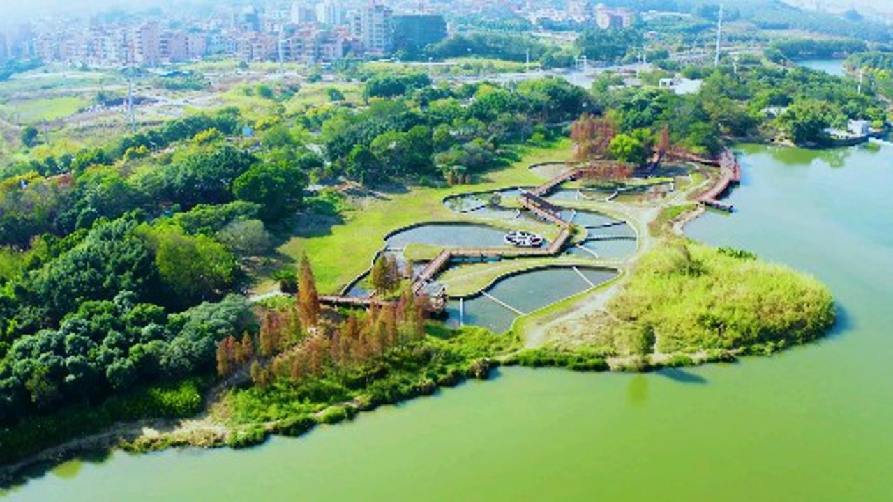 东莞高埗湿地公园图片