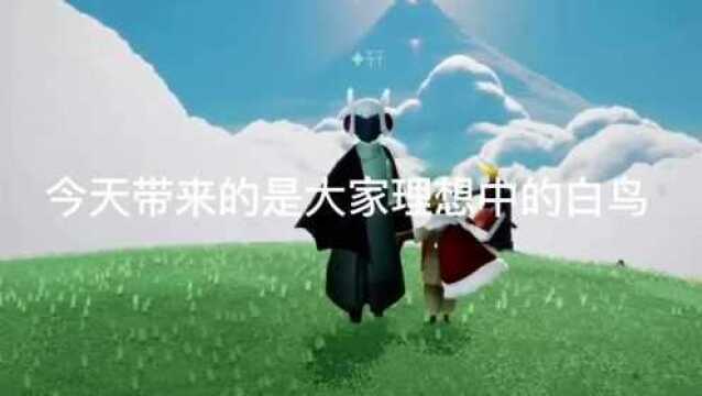 光遇:本次带来的,是大家最想要的白鸟~