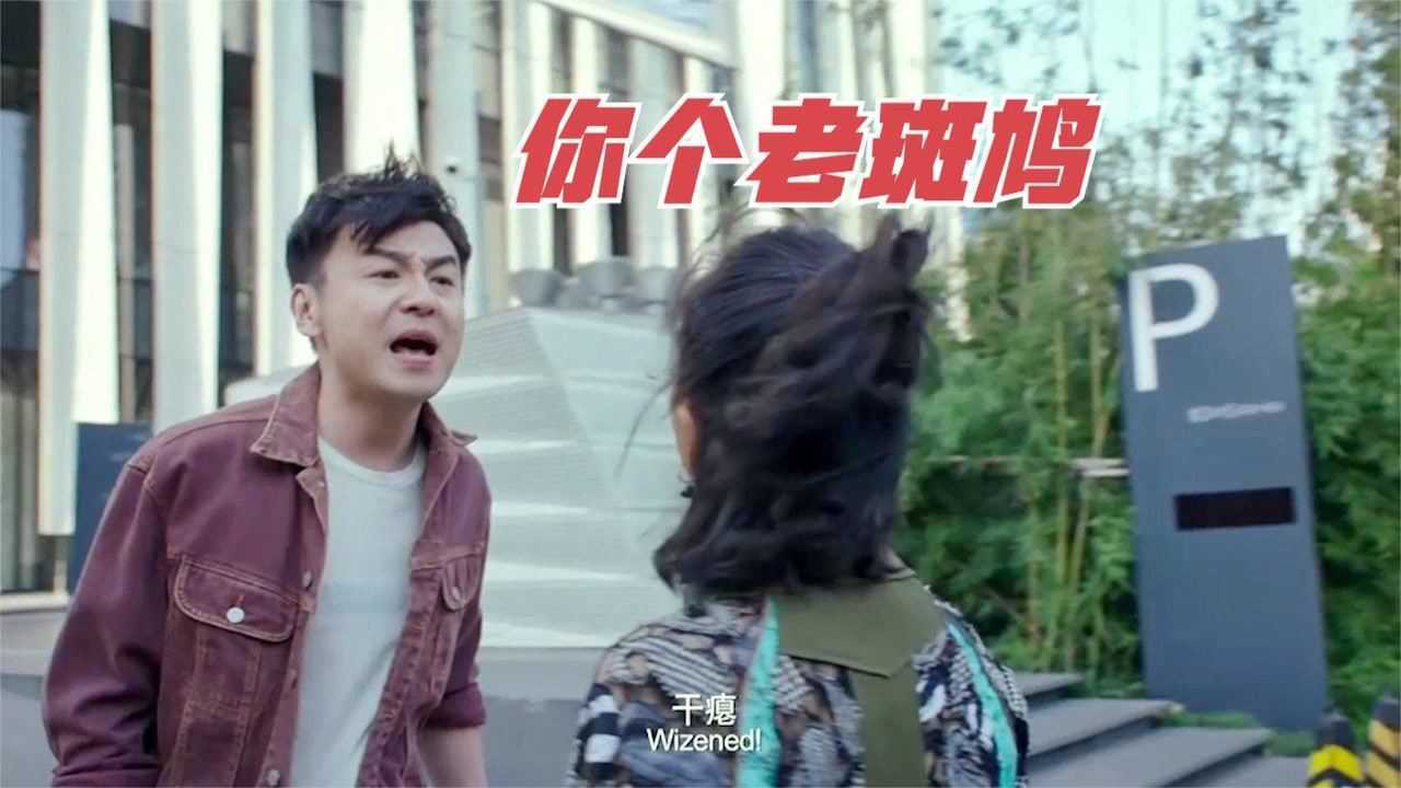 爆笑斗嘴合集,雷佳音和佟丽娅大街上吵架:你这个干瘪的老斑鸠!