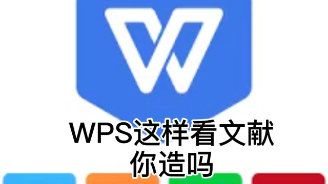 WPS的高级看文献方式