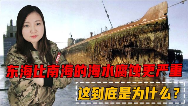 专家也傻眼了:为什么东海比南海的海水腐蚀更严重?这不科学!