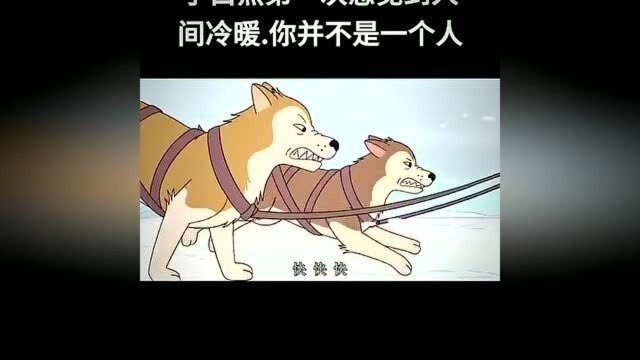 动漫爱无处不在