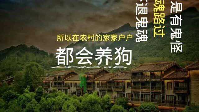 民间故事:狗眼通天